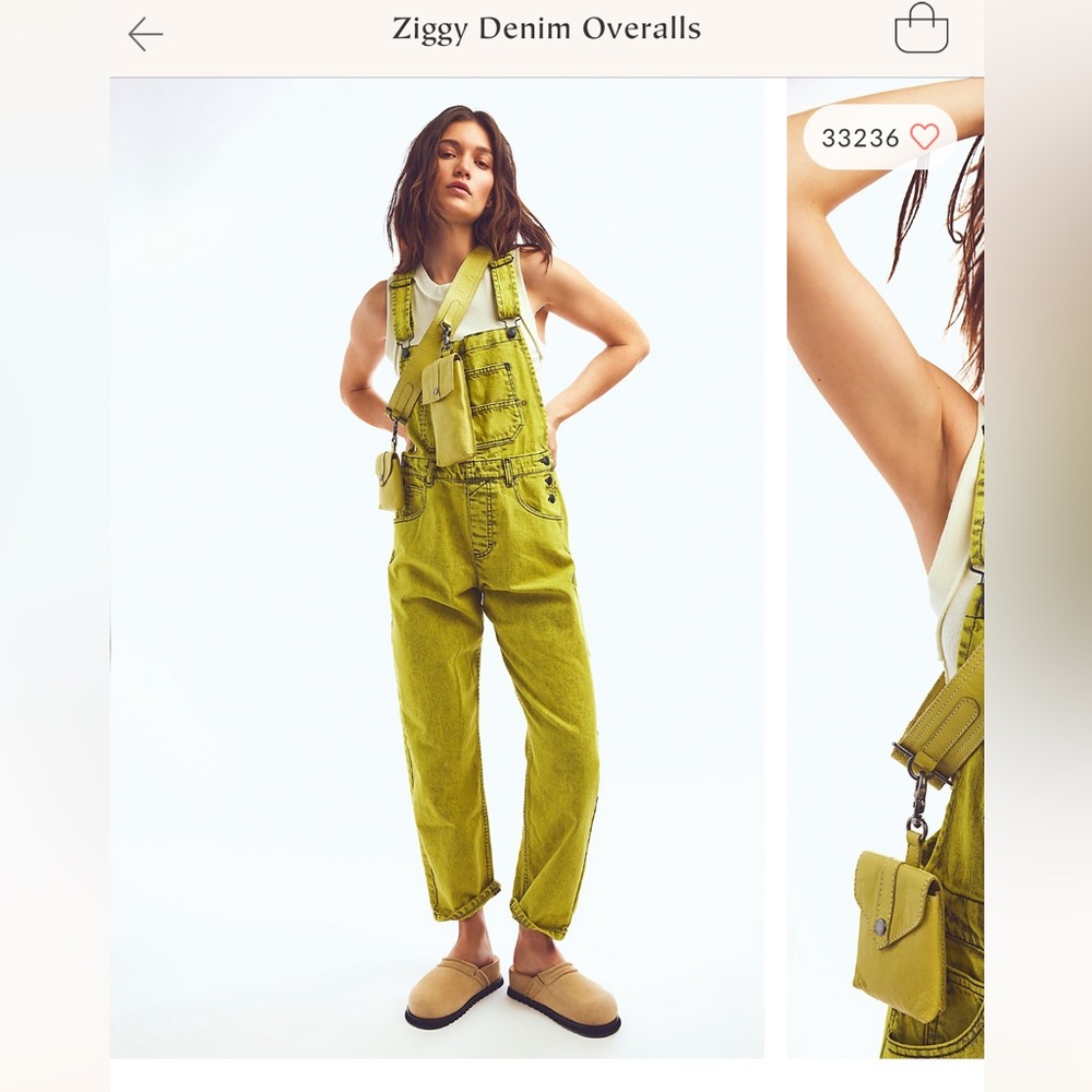 Free People Ziggy Denim Overalls